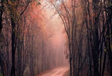 旺财28：意甲：亚特兰大同尤文图斯打成平手.