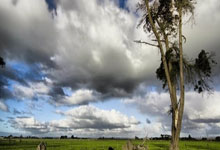 旺财28：姜积弘：很高兴回到广州，感觉非常亲切就像回家了一样.