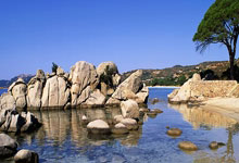 旺财28：[NBA]强强对话 雷霆七人得分上双.